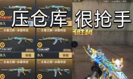 爆料王者武器的秘密视频,探寻视频中的武器秘密